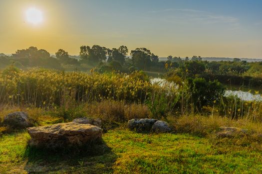 Morning view over wetland, in En Afek nature reserve, northern Israel