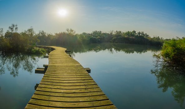 View of an elevated pathway over a pond, in En Afek nature reserve, northern Israel