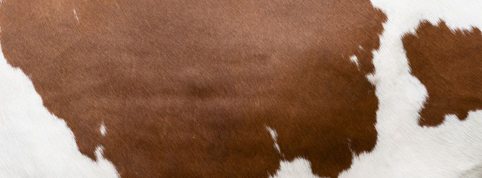 High quality photopart of red or brown cowhide in closeup