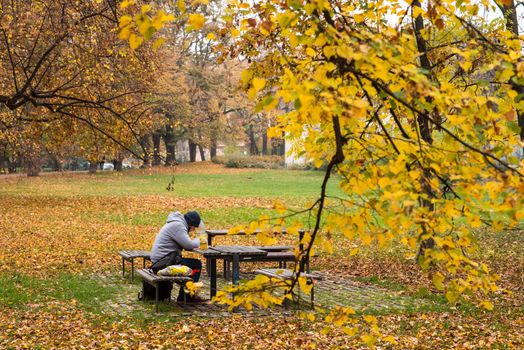 11/14/2020. Park Stromovka. Prague czech Republic. A man is sitting on a bench in the park on a Sunday winter day.
