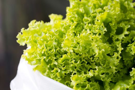 Close-up Fresh chinese cabbage.