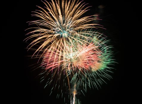 Beautiful colorful firework on the sky at night.