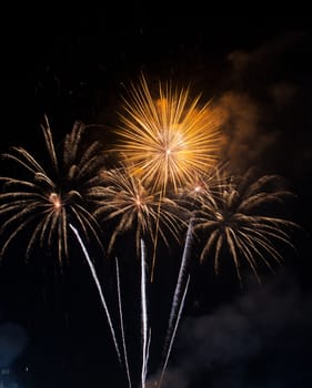 Beautiful firework on the sky at night.