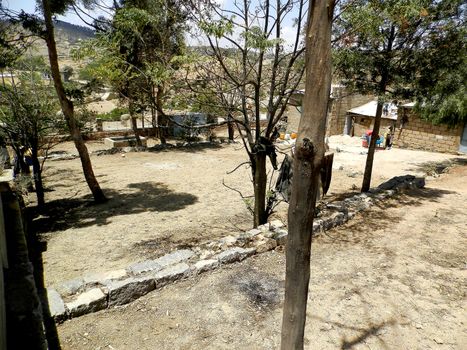 Tesseney, Eritrea - 10/11/2020: Beautiful photography of the landscape from the villages near the bord from Ethiopia. Old desert villages with some domestic animals.