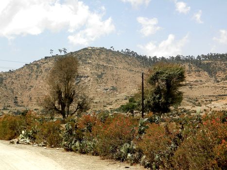 Tesseney, Eritrea - 10/11/2020: Beautiful photography of the landscape from the villages near the bord from Ethiopia. Old desert villages with some domestic animals.