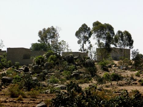 Tesseney, Eritrea - 10/11/2020: Beautiful photography of the landscape from the villages near the bord from Ethiopia. Old desert villages with some domestic animals.