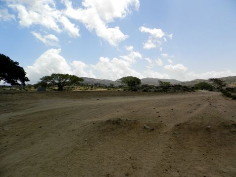 Tesseney, Eritrea - 10/11/2020: Beautiful photography of the landscape from the villages near the bord from Ethiopia. Old desert villages with some domestic animals.