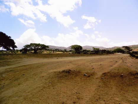 Tesseney, Eritrea - 10/11/2020: Beautiful photography of the landscape from the villages near the bord from Ethiopia. Old desert villages with some domestic animals.