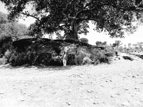 Tesseney, Eritrea - 10/11/2020: Beautiful photography of the landscape from the villages near the bord from Ethiopia. Old desert villages with some domestic animals.