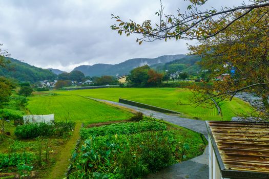 View of fields and countryside, in Shuzenji, Izu Peninsula, Japan