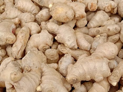 healthy and spicy Ginger stock on shop