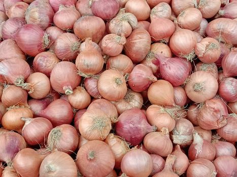 healthy and spicy onion stock on shop