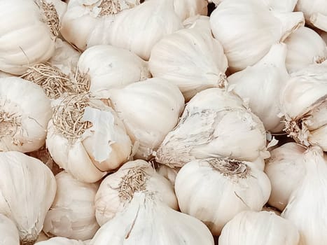 healthy and spicy garlic stock on shop