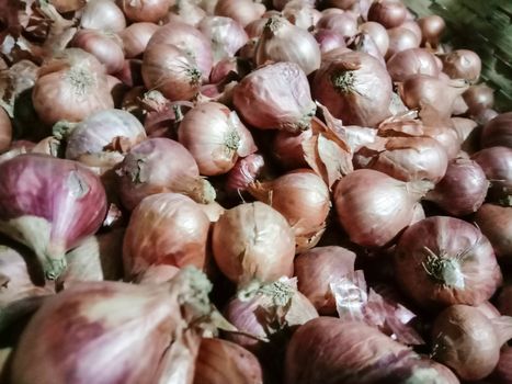 healthy and spicy onion stock on shop