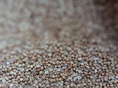 spicy and hot Coriander Powder on shop