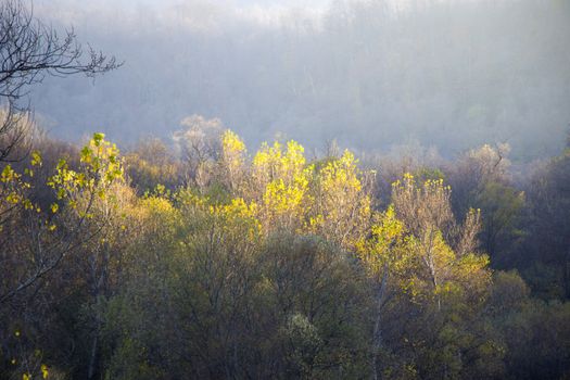 Autumn and fall landscape in Kakheti, Georgia. Nature background.