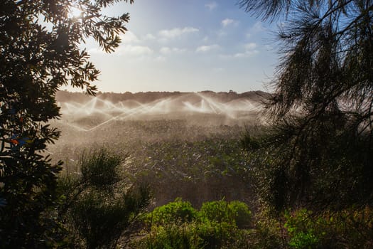 Crop sprayers in action in Mornington Peninsula, Victoria, Australia