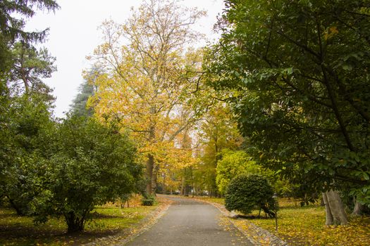 Park and garden in Tsinandali, Georgia. Autumn park landscape.