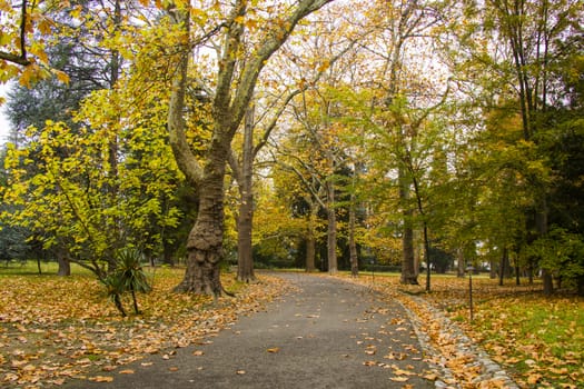 Park and garden in Tsinandali, Georgia. Autumn park landscape.