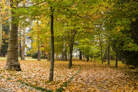 Park and garden in Tsinandali, Georgia. Autumn park landscape.