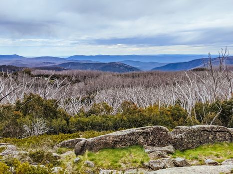 The popular Lake Mountain bike park and Taggerty Valley view near Marysville in Victoria, Australia