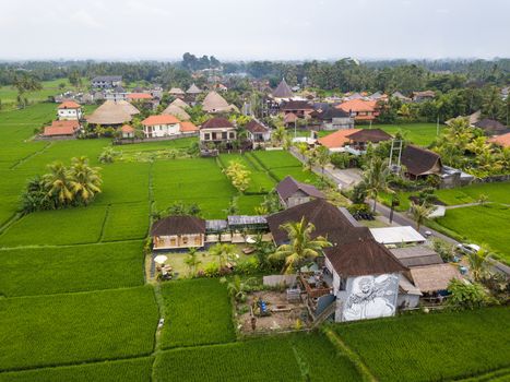 UBUD, INDONESIA - CIRCA MARCH 2019: Aerial view of Ubud countryside.