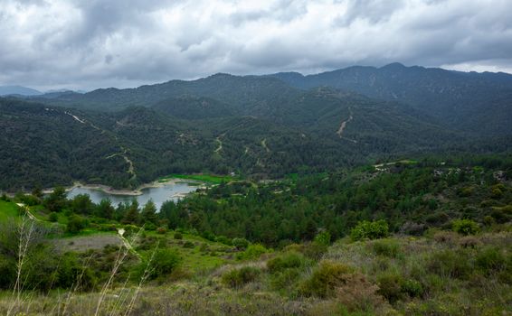 Forest-covered green hills on a bright Sunny summer day in the mountains of Central Cyprus.
