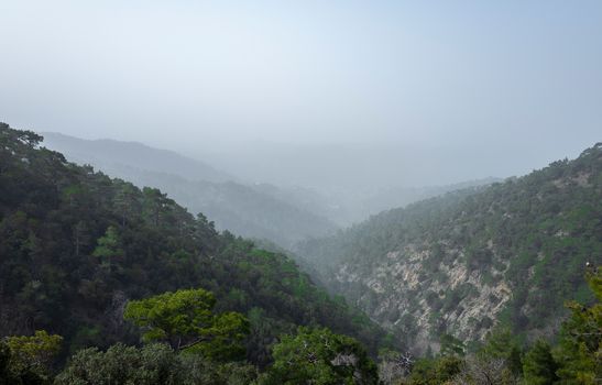 Forest-covered green hills on a bright Sunny summer day in the mountains of Central Cyprus.