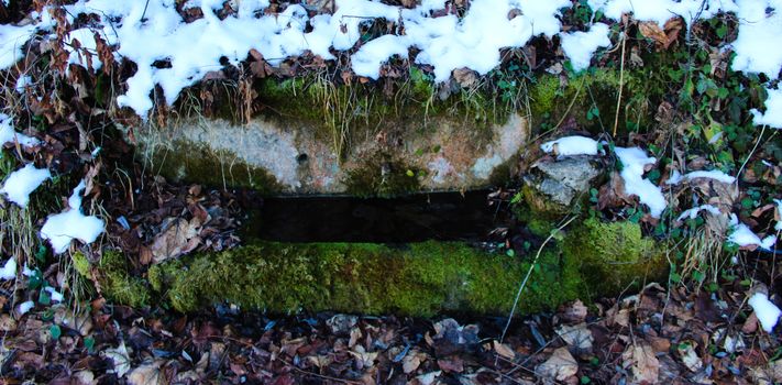 Watering can for cattle. A stone trough where there is water that is overgrown with moss. It is winter and there is snow all around.