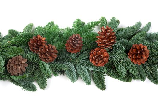Christmas Border frame of natural noble fir tree branches and cones isolated on white background