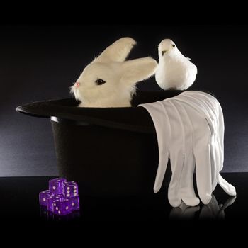 A closeup view of a magicians top hat full of tricks using a rabbit and other items.