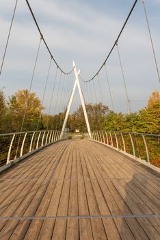 City park on an autumn morning, outdoor images