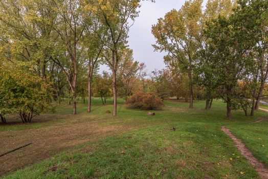 City park on an autumn morning, outdoor images