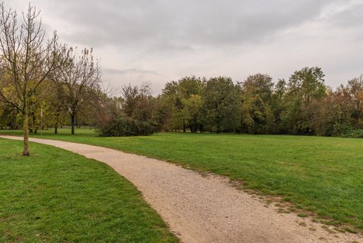 City park on an autumn morning, outdoor images