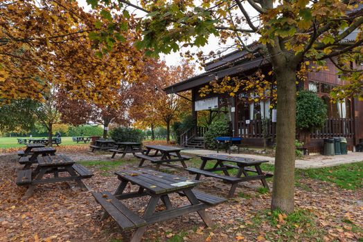 City park on an autumn morning, outdoor images