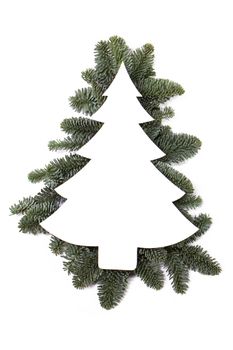 Christmas white fir tree shaped blank card with copy space and decor of fir tree branch isolated on white background