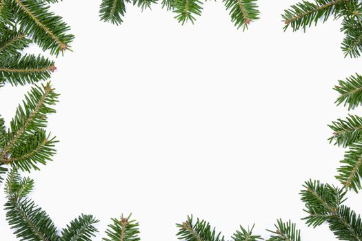 Natural fir Christmas tree border frame isolated on white , copy space for text