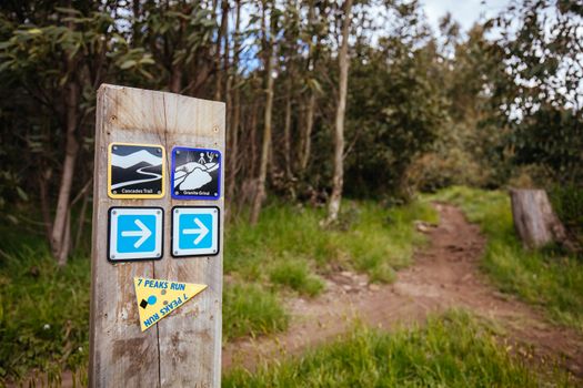 Lake Mountain, Australia - November 15, 2020: The popular Lake Mountain bike park with Cascades Trail near Marysville in Victoria, Australia