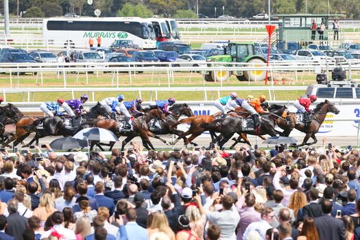 MELBOURNE, AUSTRALIA - NOVEMBER 6: The horses race past in the main race at the Lexus Melbourne Cup Day at the 2018 Melbourne Cup Carnival
