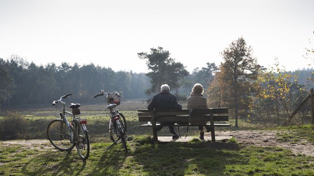 couple on bench resting from bicycle trip in the fall forest near utrecht in the netherlands