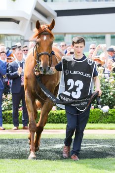 MELBOURNE, AUSTRALIA - NOVEMBER 05, 2019: Horse Vow and Declare after winning the Melbourne Cup at Flemington Racecourse in Melbourne Australia