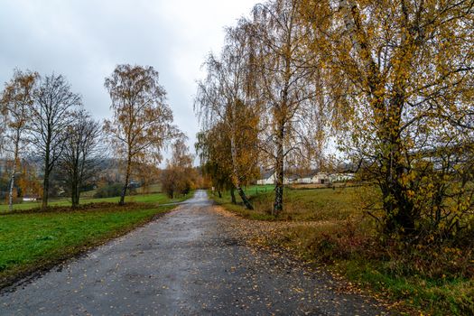 road in the countryside in autumn.