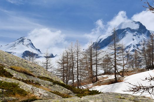 Overview of the Gran Paradiso massif, seen from the Valsavaranche