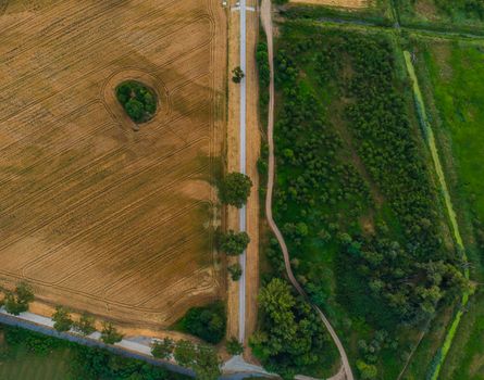 Aerial top down look to streets and paths between forest and fields