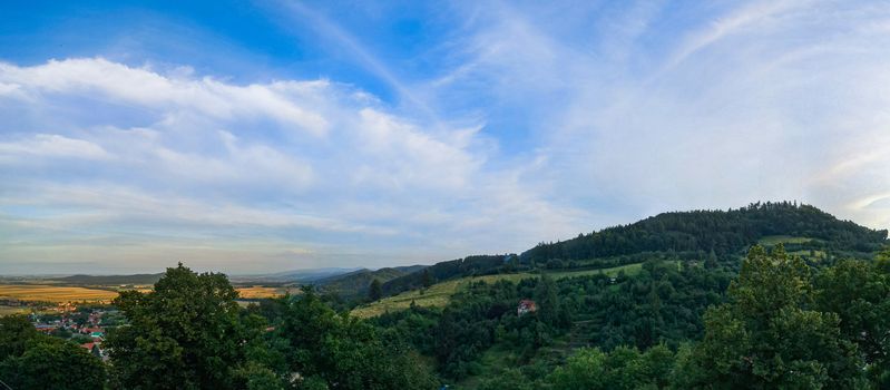 Panoramic view of fields and mountains full of bushes and trees