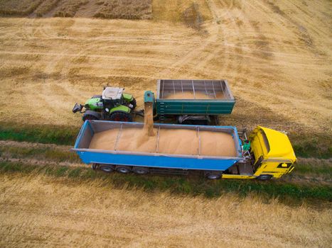 Harvesting in the field. Truck picks up wheat from the field