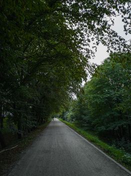 Long bike path between bushes and trees