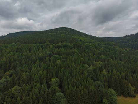 Owl mountains full of forest and high trees