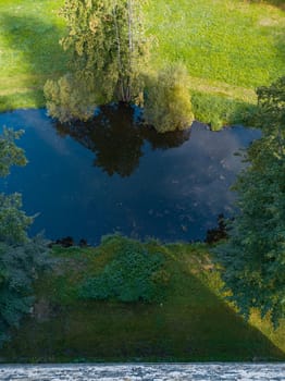 Small tree reflecting in small river like in mirror