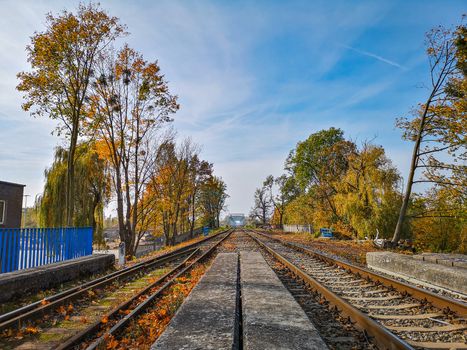 Train railways on hill at viaduct between trees and bushes